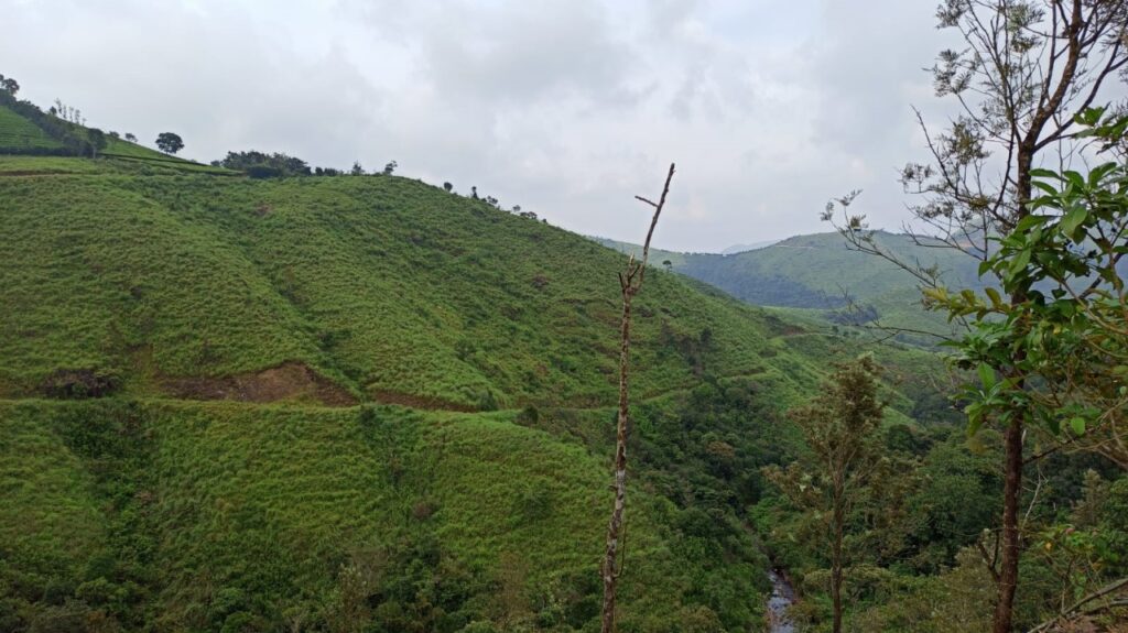 (Note: This photo was taken from the spot where we parked our car. The stream in the ravine can be seen at the bottom of the photo. We had to go down a winding road to reach the place shown in the next collage.)